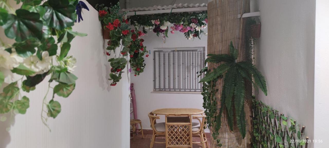 Tus Vacaciones En El Corazon De Alicante! 外观 照片
